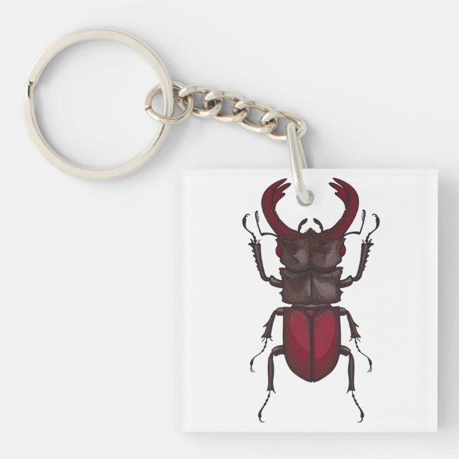 Porte-clefs Stag beetle (Devant)