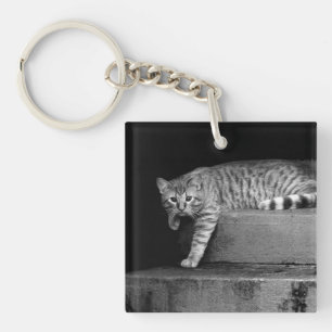 Porte-clefs Stray Cat sur Stairs