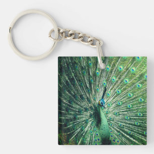 Porte-clefs Strut Peacock