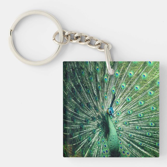 Porte-clefs Strut Peacock (Devant)