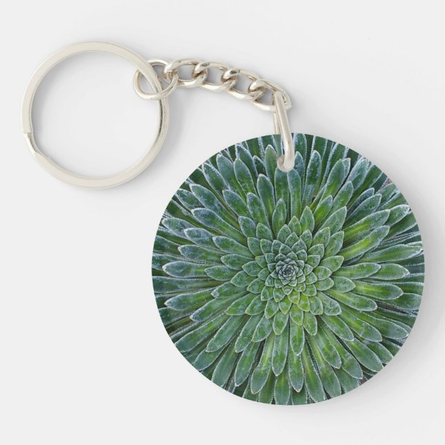 Porte-clefs Succulent plante du désert (Devant)