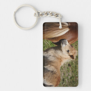 Porte-clefs Sweet Haflinger Foal