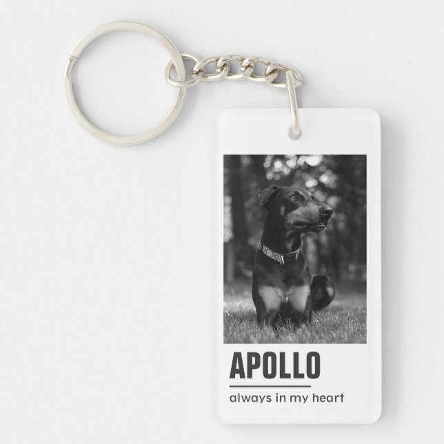 Porte-clefs Symbole de conservation de l'animal de compagnie (Devant)