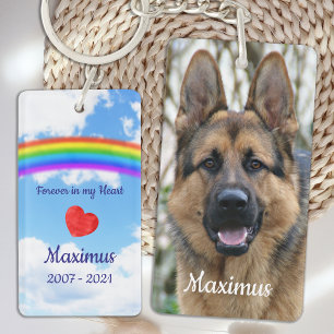 Porte-clefs Sympathie de l'animal de compagnie Perdre chien Ra