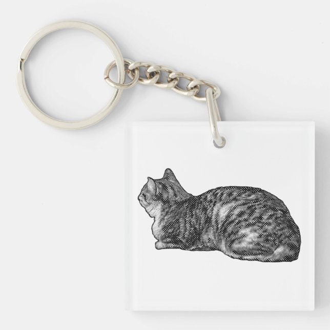 Porte-clefs Tabby À Poche, Paniers À Poche (Devant)