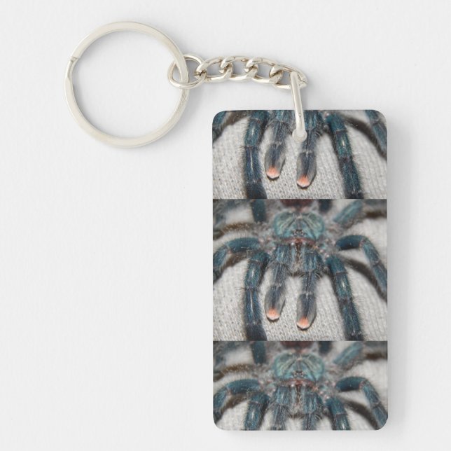 Porte-clefs tarantule bleue (Devant)
