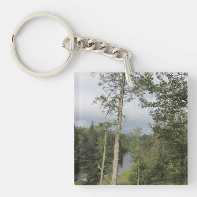 Porte-clefs Tarn Hows Arbres Acryliques Clé Cercle (Devant)