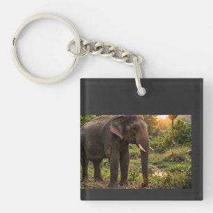 Porte-clefs Tasse éléphant du parc national de Yala - Faune de