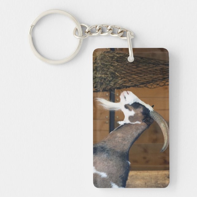 Porte-clefs Tauernschecken-Ziege (Devant)
