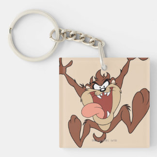 PORTE-CLEFS TAZ™