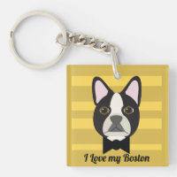 Terrier de Boston