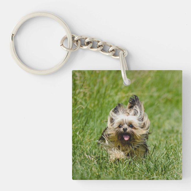 Porte-clefs Terrier Yorkshire mignon Traversant L'Herbe (Devant)