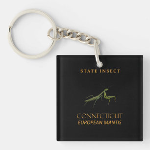 Porte-clefs Territoire du Connecticut Insecte La mante religie