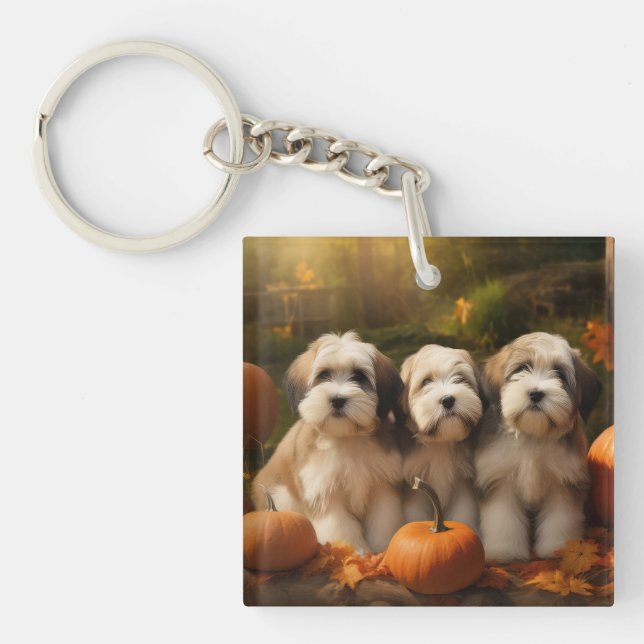 Porte-clefs Tibétain Terrier Chiot Automne Citrouille délice (Devant)