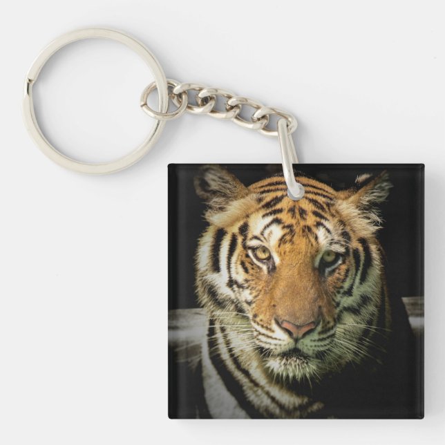 Porte-clefs tigre (Devant)