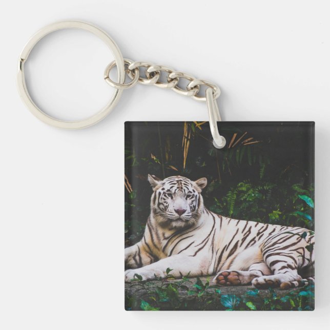 Porte-clefs Tigre (Devant)