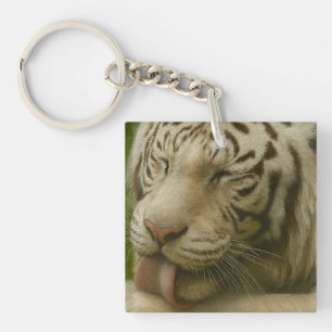 Porte-clefs Tigre blanc dans le rituel de toilettage privé