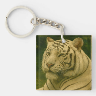 Porte-clefs Tigre blanc reposant dans l'ombre des bois