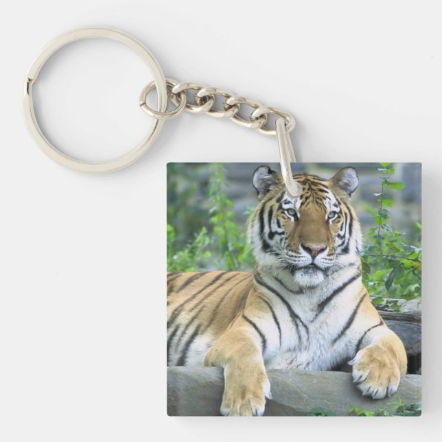 Porte-clefs Tigre mou dans l'herbe (Devant)