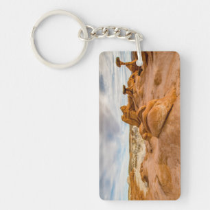 Porte-clefs Toadstool Hoodoos