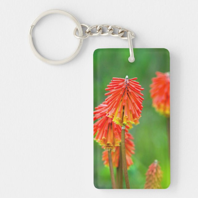 Porte-clefs Torche Lily (Kniphofia Uvaria), Cap occidental (Devant)