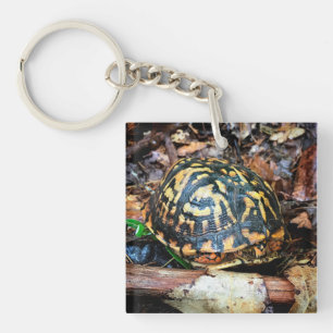 Porte-clefs Tortue dans la forêt, Chester, South Carolina Post