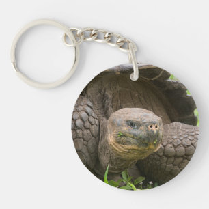 Porte-clefs Tortue géante
