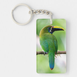 Porte-clefs Toucanet émeraude du Nord & Barbet à tête rouge