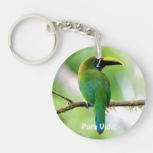 Porte-clefs Toucanet émeraude du Nord & Morpho bleu