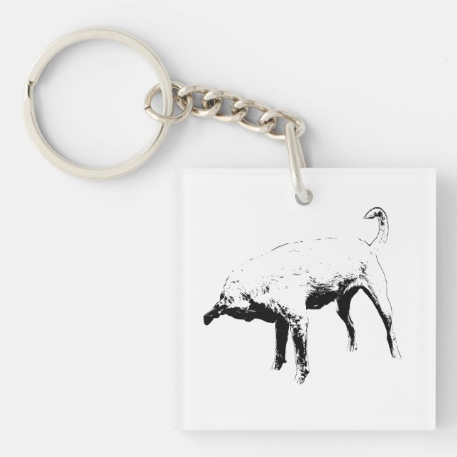 Porte-clefs Tourne de Pocket Terrier (Devant)