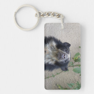 Porte-clefs Tremarctos ornatus - Brillenbär