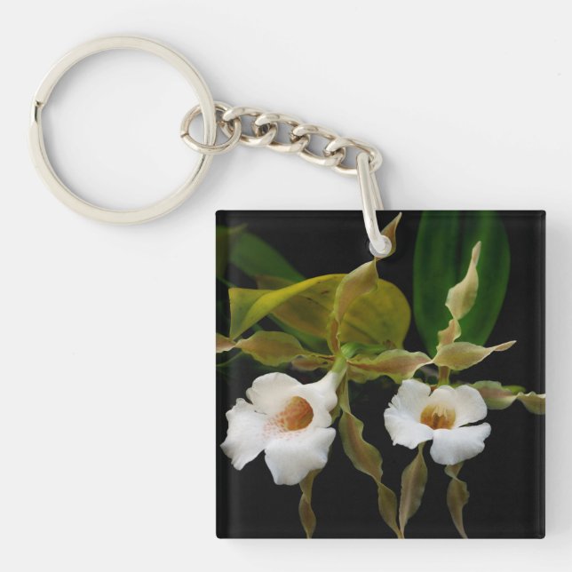 Porte-clefs Trichopilia Tortilis (Devant)