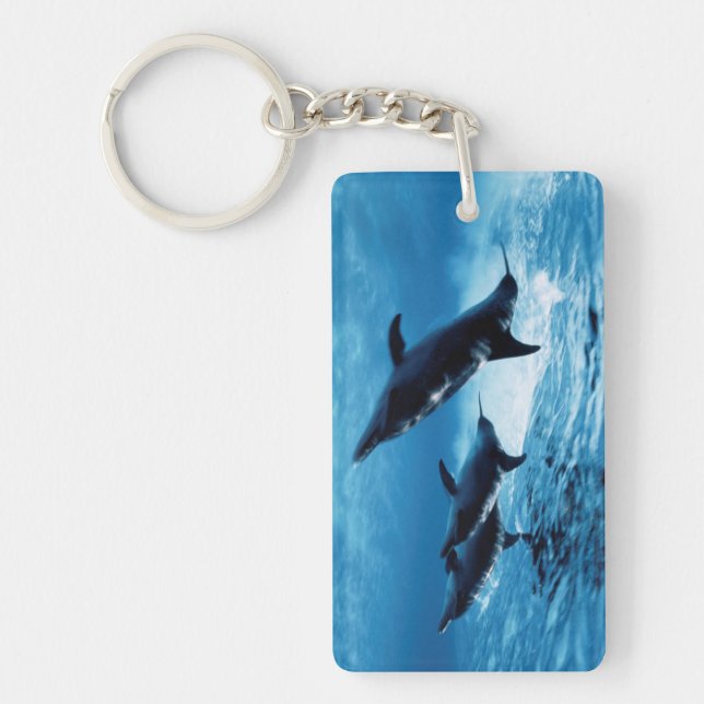 Porte-clefs Trio de dauphins (Devant)