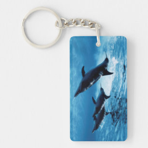 Porte-clefs Trio de Dolphins