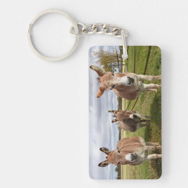 Porte-clefs Trois ânes (Devant)