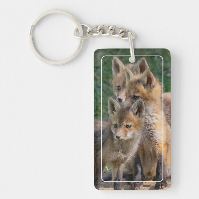 Porte-clefs Trois Kits Alert Fox (Devant)