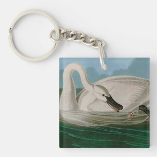 Porte-clefs Trumpeter Swan Birds of America Audubon Imprimer