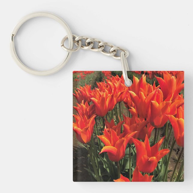 Porte-clefs Tulips orange, Oregon (Devant)
