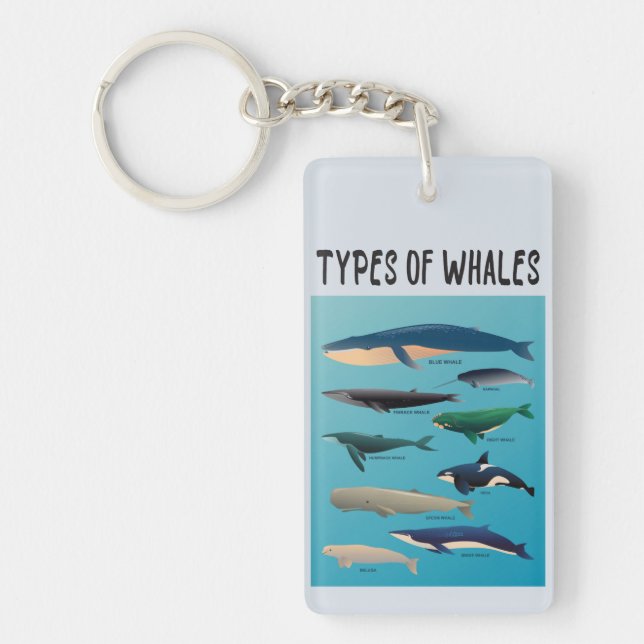 Porte-clefs Types De Baleines Variété Mammifère Océanique (Devant)