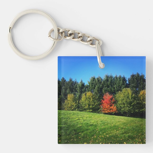 Porte-clefs Un arbre rouge (Devant)