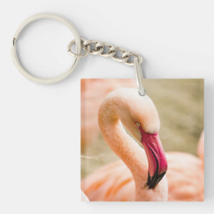 Porte-clefs Un Beau Flamant rose Rose