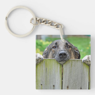 Porte-clefs Un berger allemand regarde la clôture