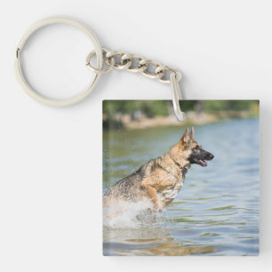 Porte-clefs Un berger allemand se jette dans l'eau