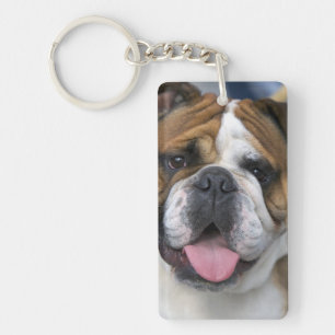 Porte-clefs Un bouledogue anglais en Belgique.
