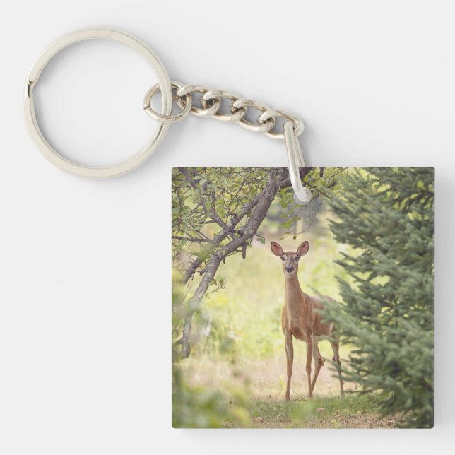 Porte-clefs Un cerf solitaire  (Devant)