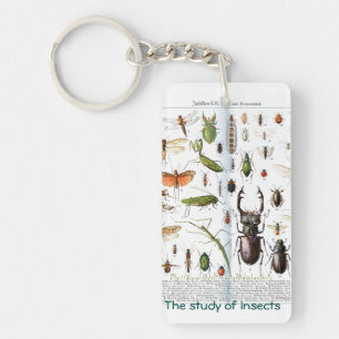 Porte-clefs "Un entomologiste"