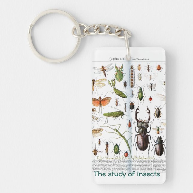 Porte-clefs "Un entomologiste" (Devant)