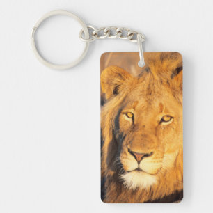 Porte-clefs Un lion à crinière rouge regardant l'appareil phot