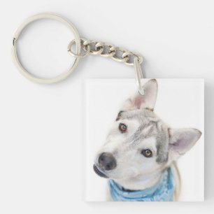 Porte-clefs Un mélange sibérien d'Husky se tortille la tête