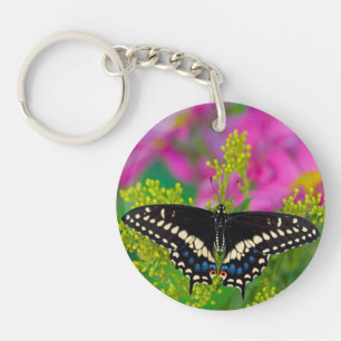 Porte-clefs Un papillon Machaon se pose